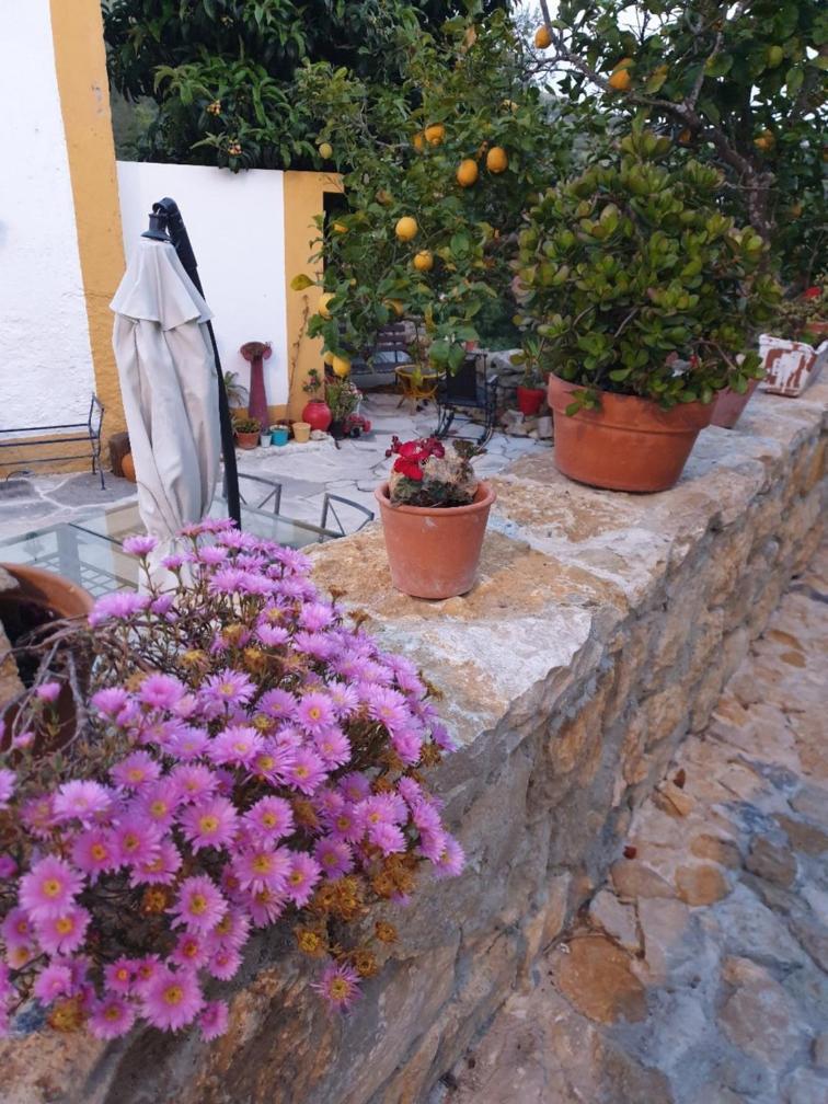 Casa Das Janelinhas - Cottage Near Sintra, Mafra, Ericeira Dış mekan fotoğraf